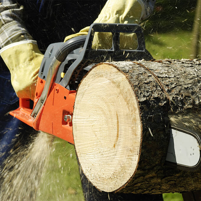 Tree Services